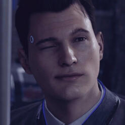 connor: dbh